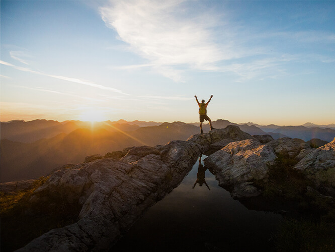 共创鲜丽与将来