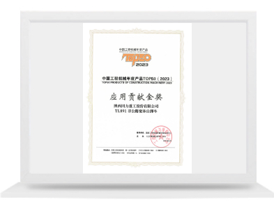 TL891利用贡献金奖